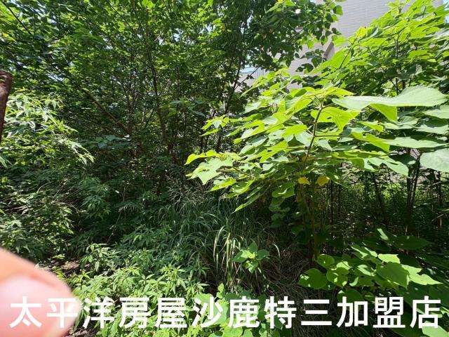 沙鹿建地-5