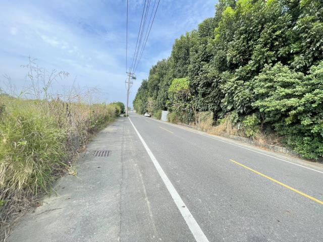 阿蓮農地-10