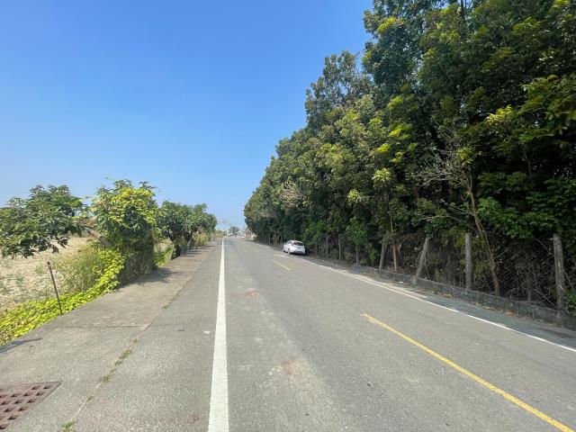 阿蓮農地-1
