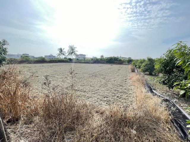 阿蓮農地-6