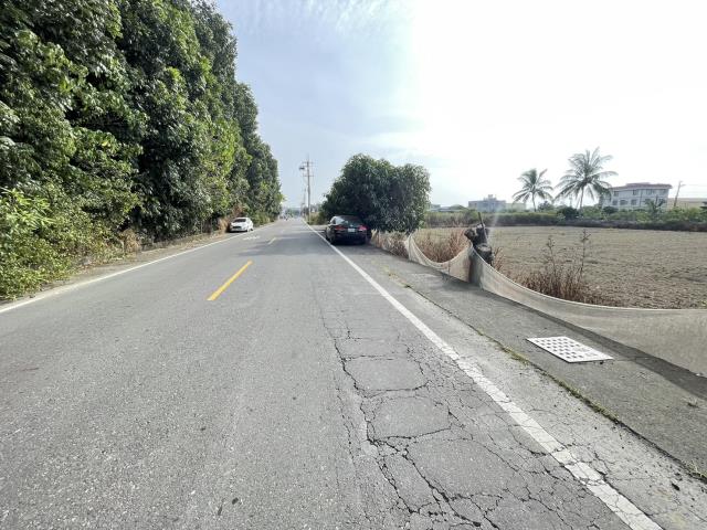 阿蓮農地-8