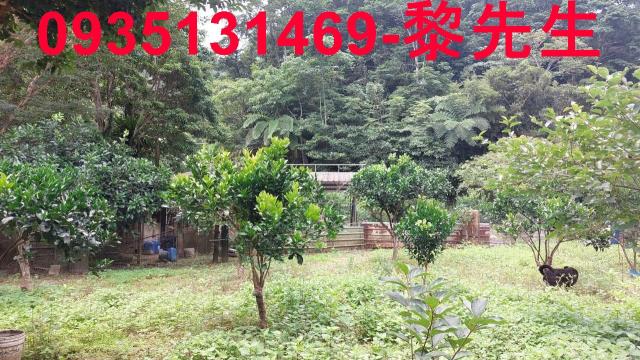 新竹農地-4