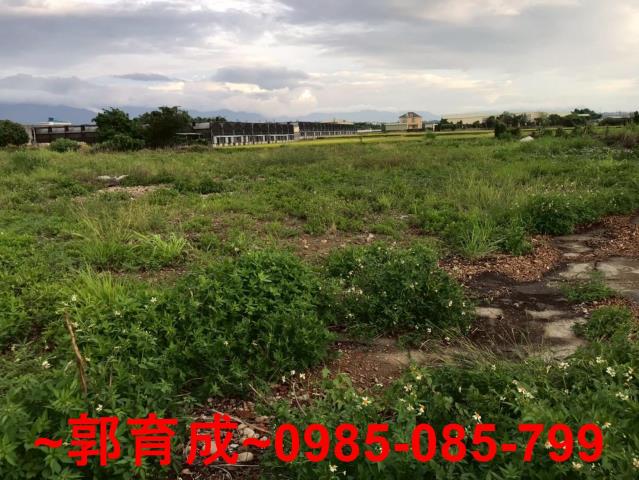 嘉義大林建地-11