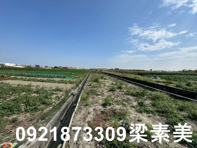 台南七股農地-7