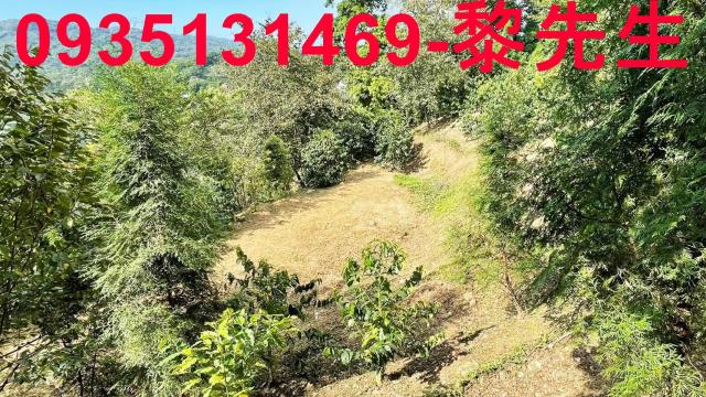 新竹橫山林地-1