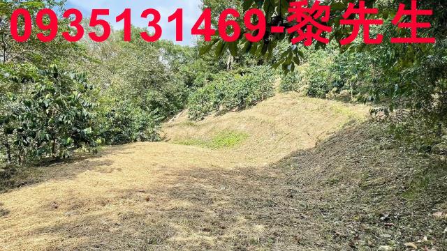 新竹橫山林地-14