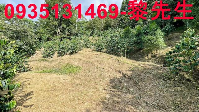 新竹橫山林地-15