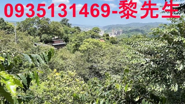 新竹橫山林地-4