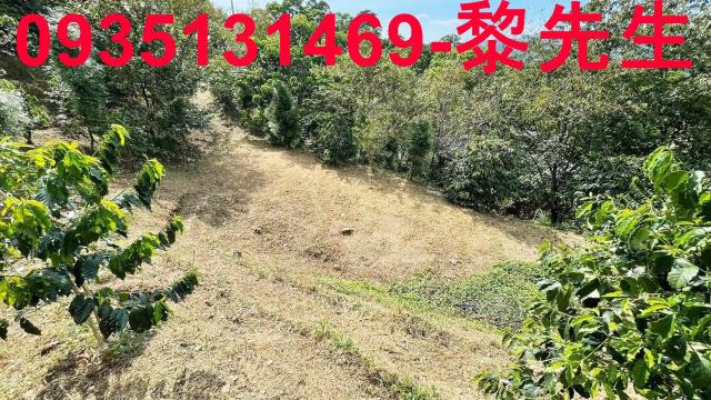 新竹橫山林地-9