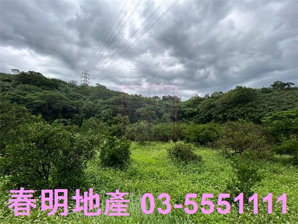 新竹峨眉農地-1