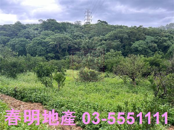 新竹峨眉農地-5