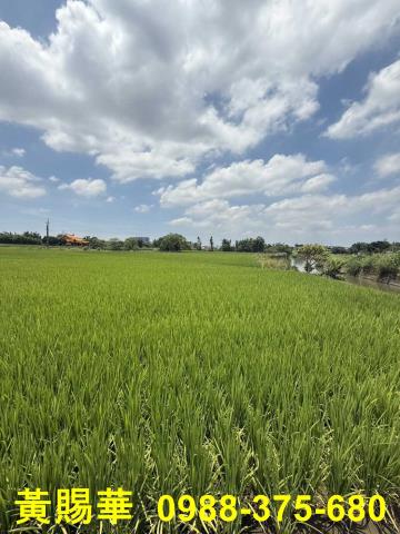 大溪農地-7