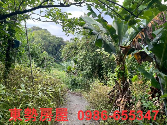 東勢農地-2