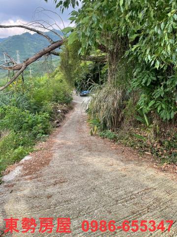 東勢農地-4