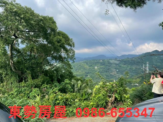 東勢農地-5