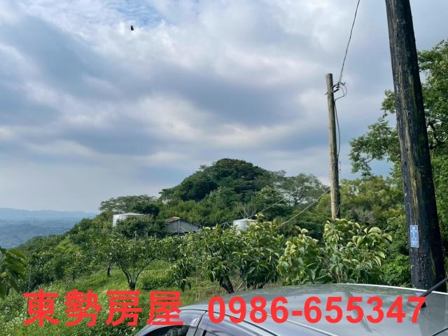 東勢農地-6