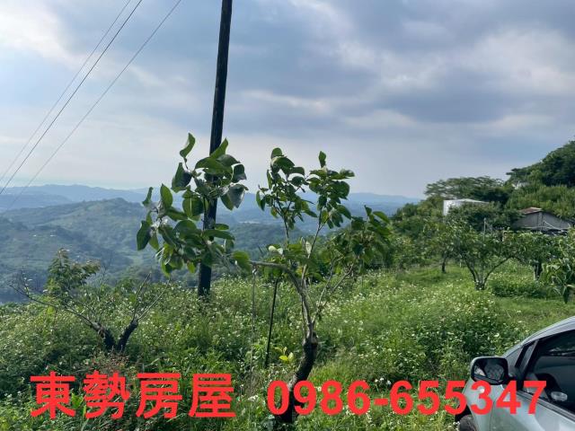 東勢農地-7