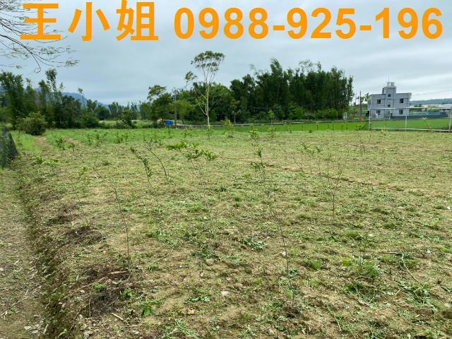大溪農地-1