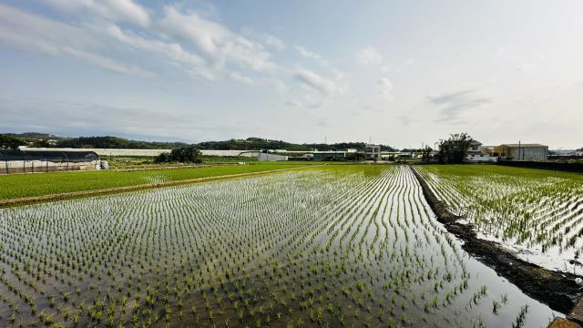 頭份工業地-1