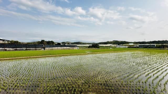 頭份工業地-3