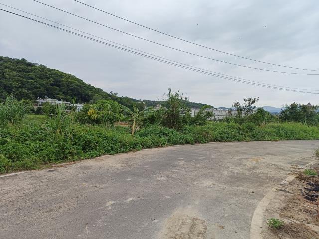 桃園農地-1