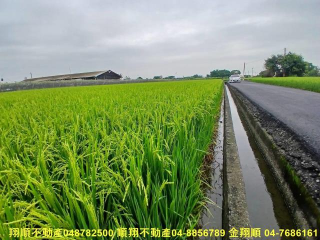 彰化農地-3