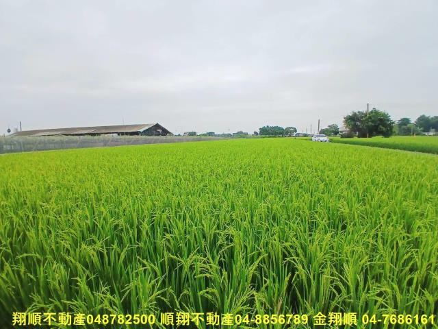 彰化農地-6