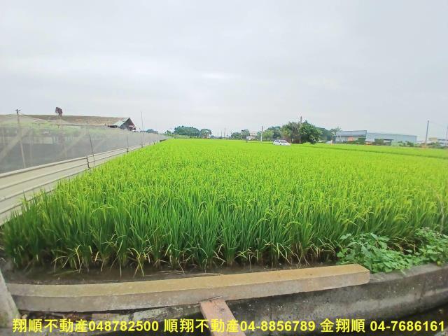 彰化農地-8