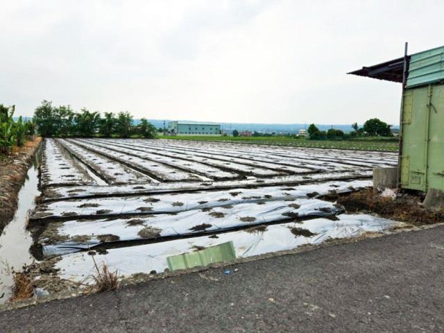 彰化芬園農地-2