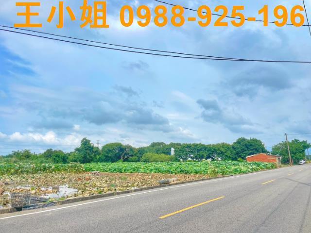 桃園新屋農地-2