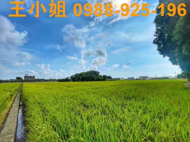 桃園新屋農地-5