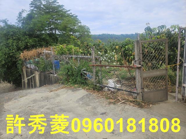 高雄田寮農地-10