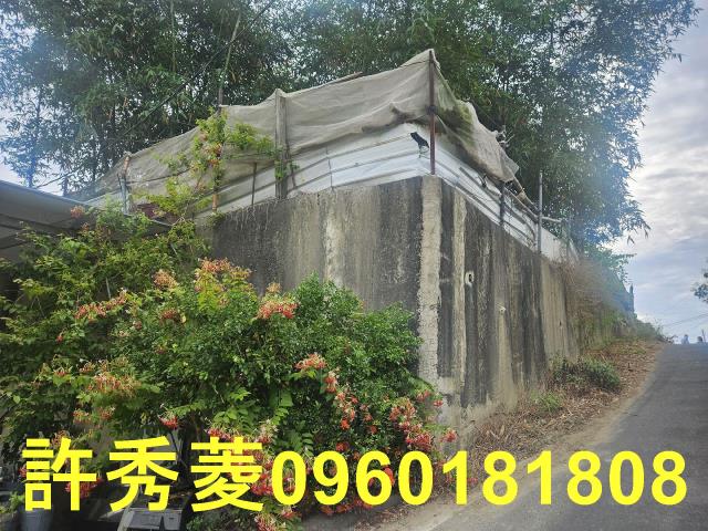 高雄田寮農地-11