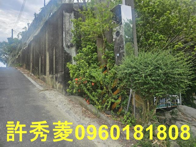 高雄田寮農地-12