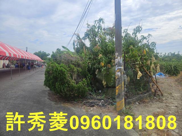 高雄田寮農地-7