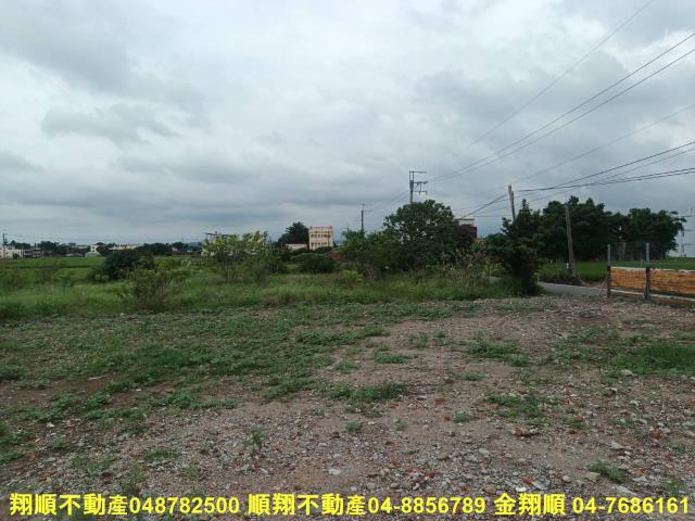 秀水農地-9