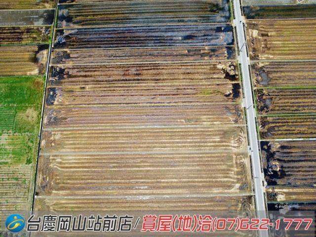 橋頭農地-4
