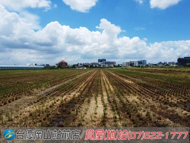 橋頭農地-5