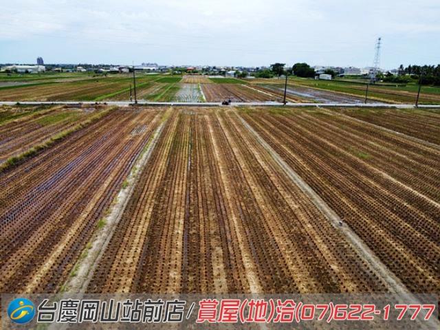 橋頭農地-7