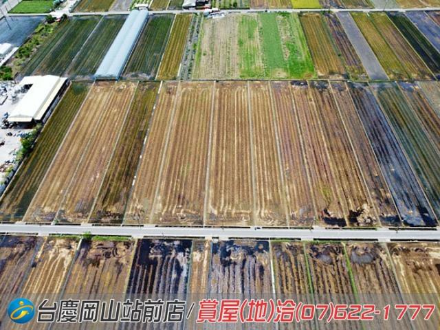 橋頭農地-8