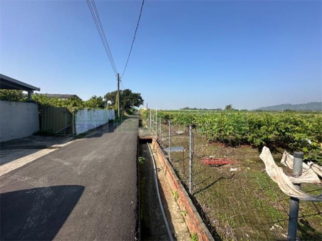 燕巢農地-2