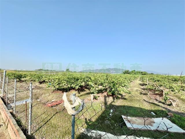 燕巢農地-3