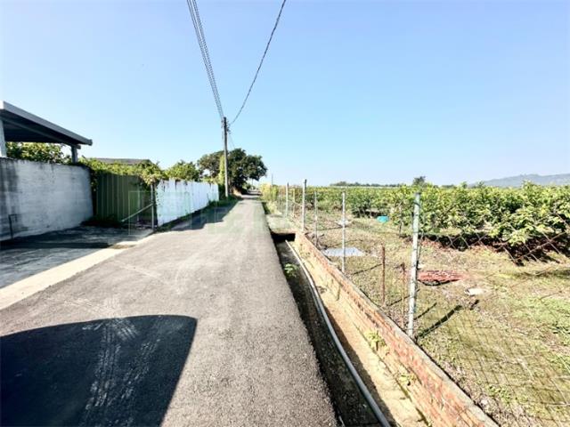 燕巢農地-5