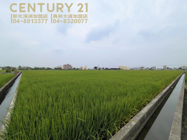 秀水農地-4