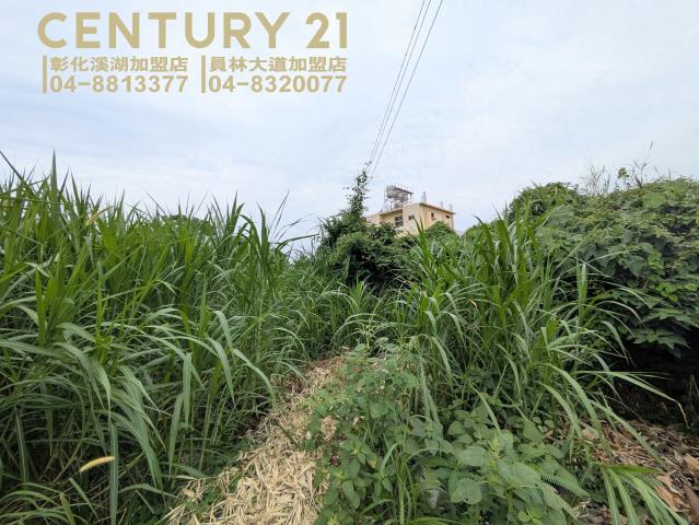 彰化農地-6