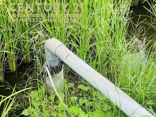 彰化農地-4