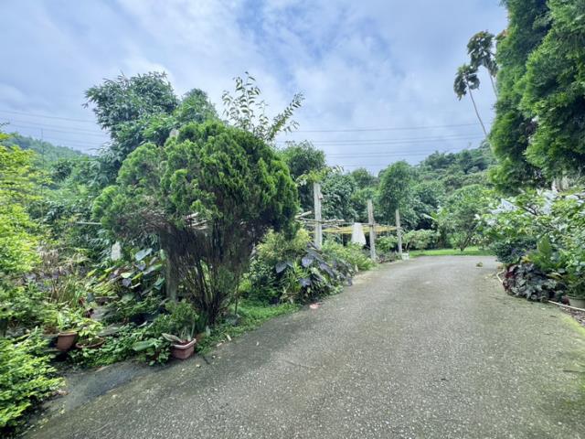 南投農地-3