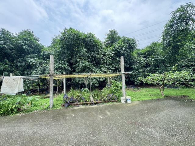 南投農地-6