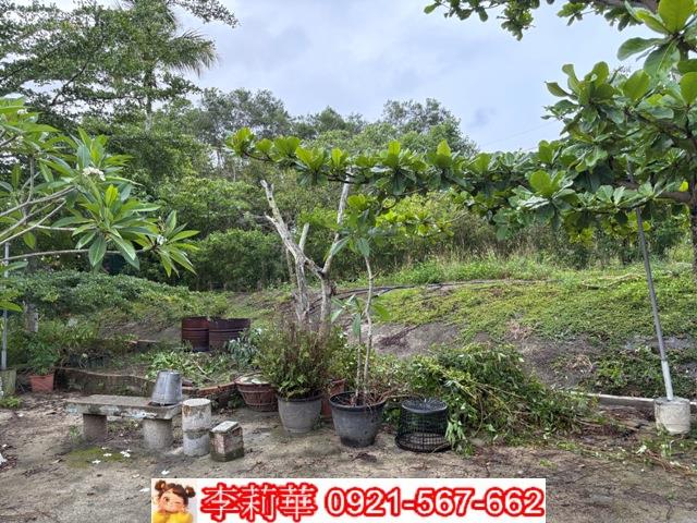 高雄杉林農地-5