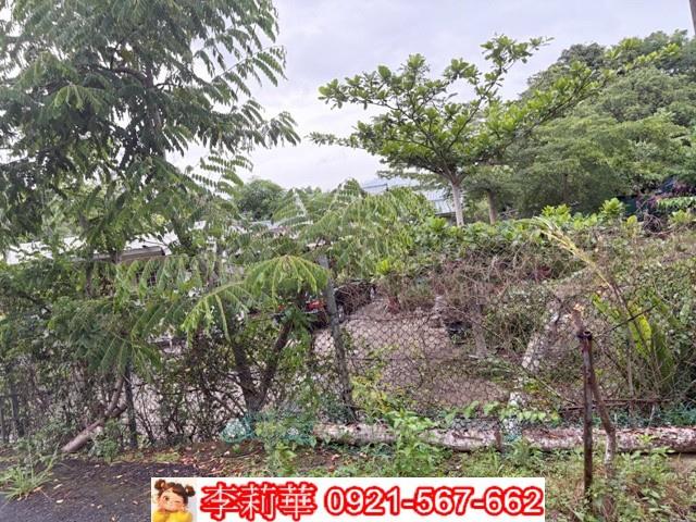 高雄杉林農地-6